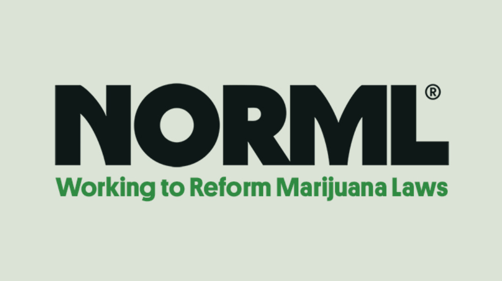 RAW Rolling Papers founder Josh Kesselman announces $50,000 donation to NORML